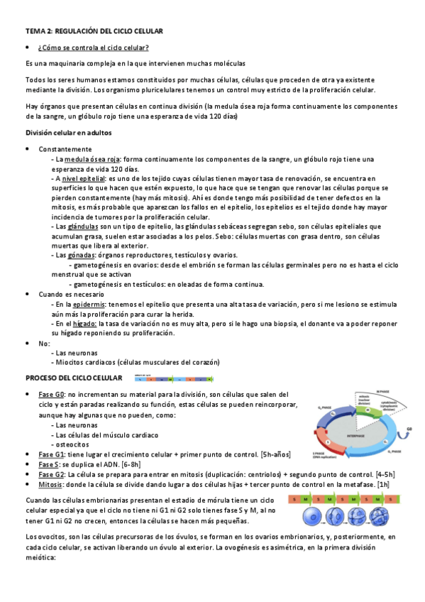 Miniatura del documento TEMA-2.pdf