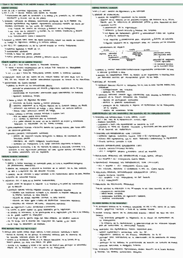 Miniatura del documento DCHO-SINDICAL.pdf