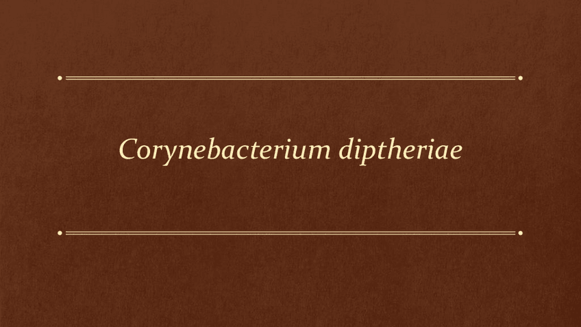 Miniatura del documento Corynebacterium-diptheriae.pdf