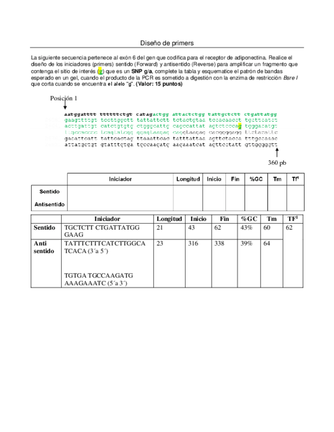 Miniatura del documento Diseno-de-primers.pdf