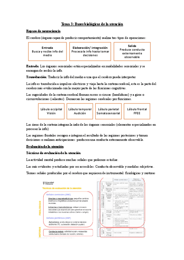 Miniatura del documento T.3-Atencion-y-Funciones-ejecutivas.pdf