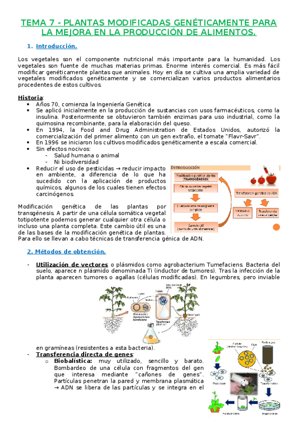 Miniatura del documento T7 Plantas MG.docx