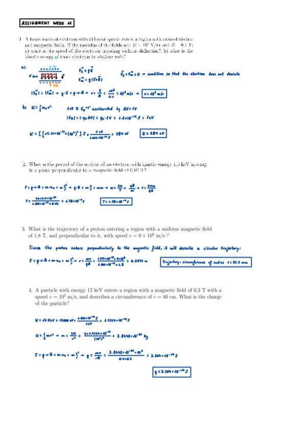 Miniatura del documento Assignment-Week-11-Magnetic-Forces-and-Magnetic-Field.pdf