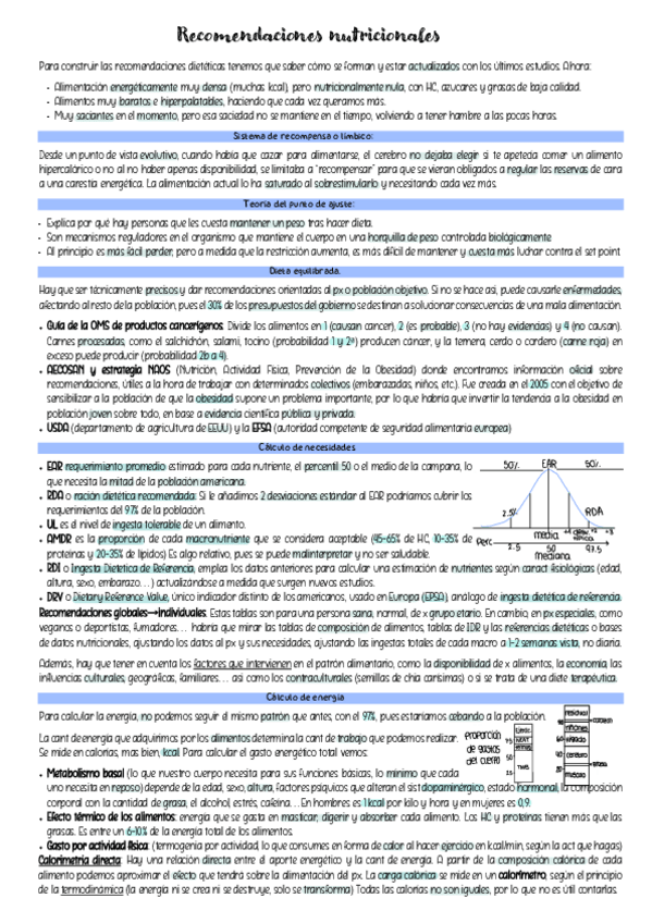Miniatura del documento Recomendaciones-nutricionales.pdf