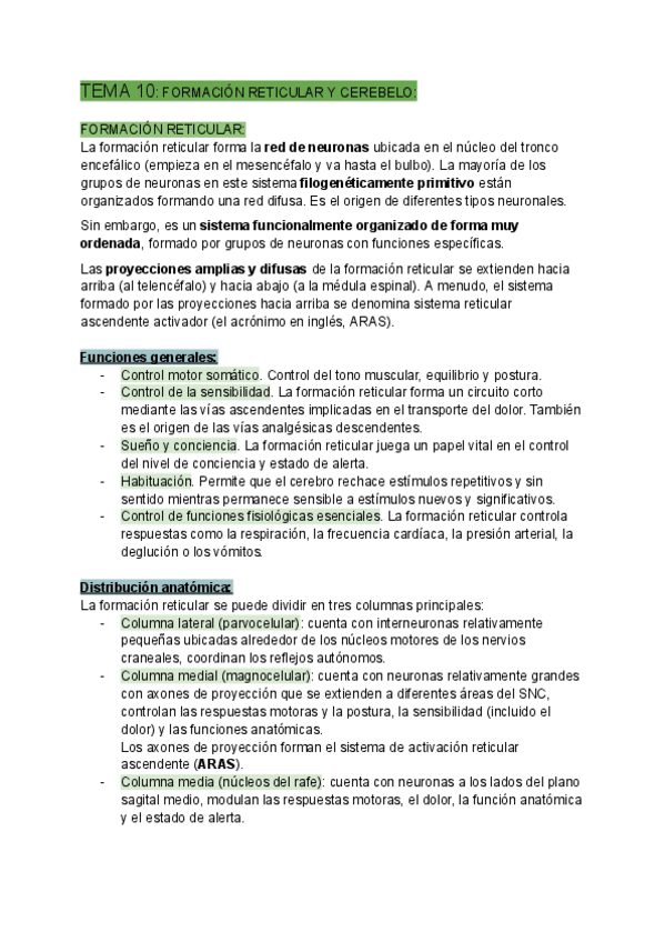 Miniatura del documento TEMA-10-FORMACION-RETICULAR-Y-CEREBELO-Documentos-de-Google.pdf