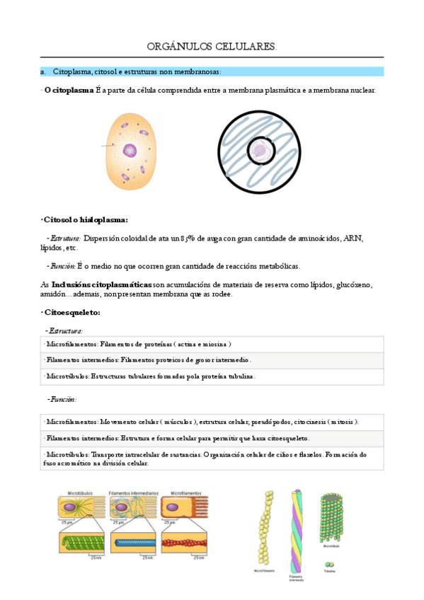Miniatura del documento Organulos-celulares..pdf