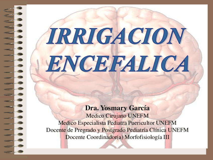 Miniatura del documento IRRIGACIÓN ENCEFÁLICA.pdf