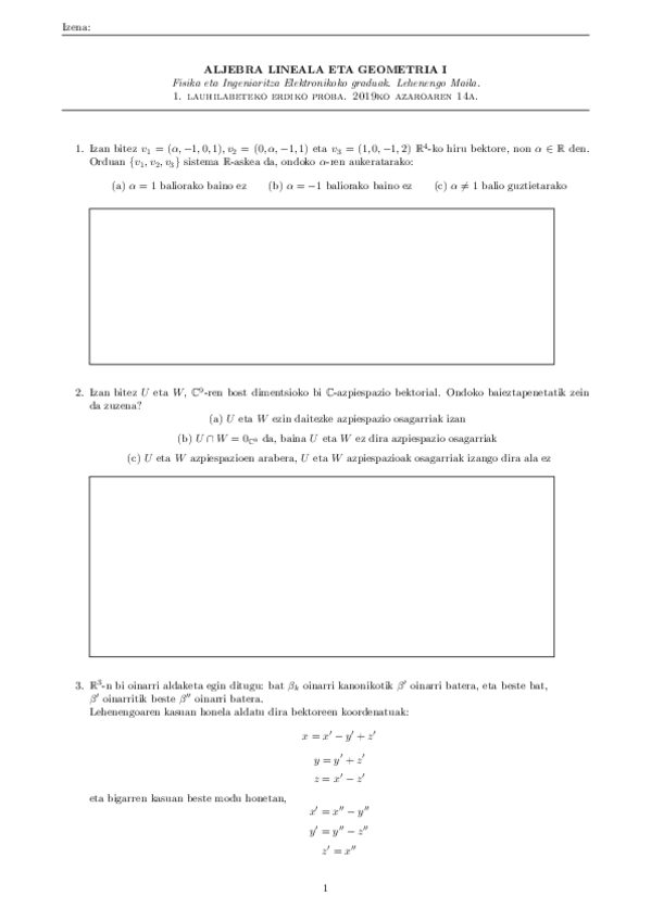 Miniatura del documento Erdiko-froga-2019.pdf