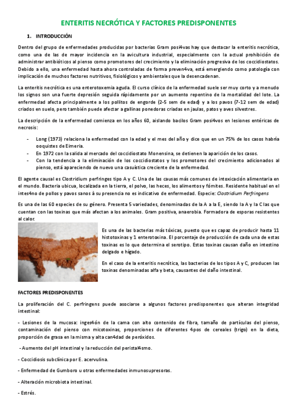 Miniatura del documento SEM-Enteritis-necrotica-y-enfermedades-predisponentes.pdf