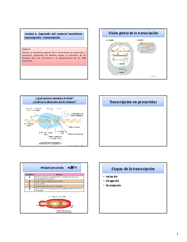 Miniatura del documento Diaposotivas-alumnos-unidades6-82012-2013.pdf