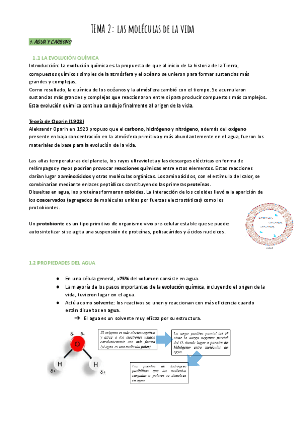 Miniatura del documento TEMA-2-Las-moleculas-de-la-vida.pdf