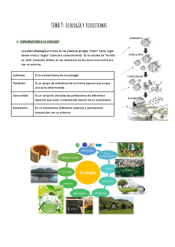 Miniatura del documento TEMA-9-Ecologia-y-ecosistemas.pdf