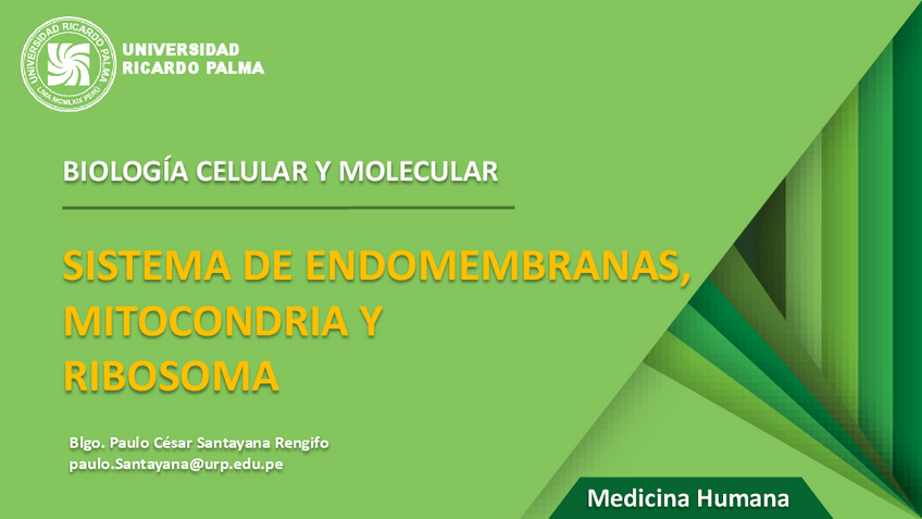 Miniatura del documento T8-SISTEMA-DE-ENDOMEMBRANAS-MITOCONDRIA-Y-RIBOSOMA.pdf