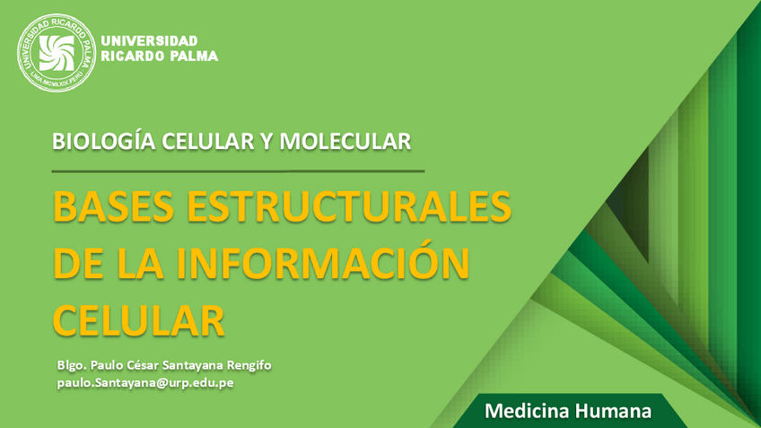Miniatura del documento T10-BASE-ESTRUCTURAL-DE-LA-INFORMACION-CELULAR.pdf