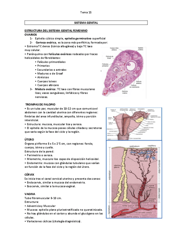 Miniatura del documento Tema-15-definitivo.pdf