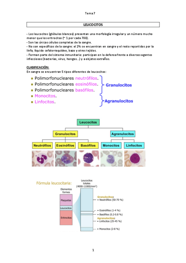 Miniatura del documento LEUCOCITOS-TEMA-7.pdf