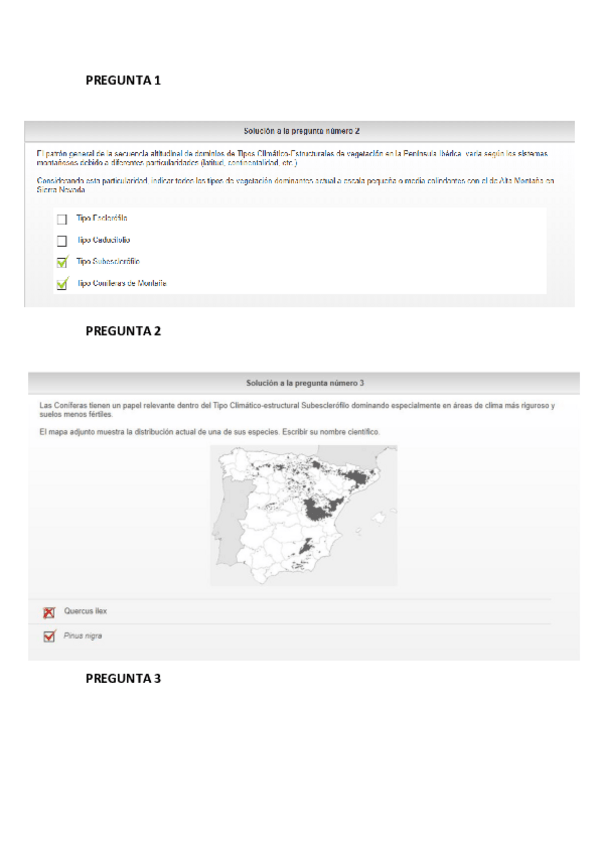 Miniatura del documento Test-de-Siette-Temas-1-7.pdf