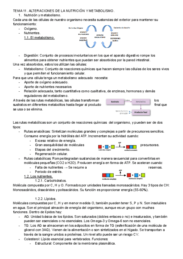 Miniatura del documento FISIO.-ALTERACIONES-DE-NUTRICION.pdf
