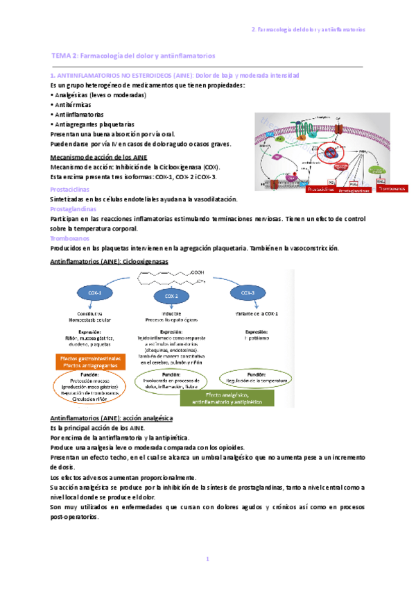Miniatura del documento 2.-Farmacologia-del-dolor-y-antiinflamatorios.pdf
