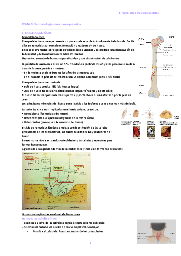 Miniatura del documento 3.-Farmacologia-musculoesqueletica.pdf