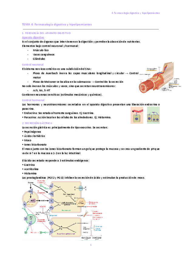 Miniatura del documento 4.-Farmacologia-digestiva-y-hipolipemiantes.pdf
