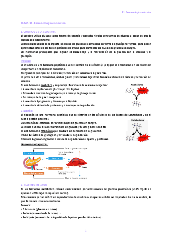 Miniatura del documento 11.-Farmacologia-endocrina.pdf