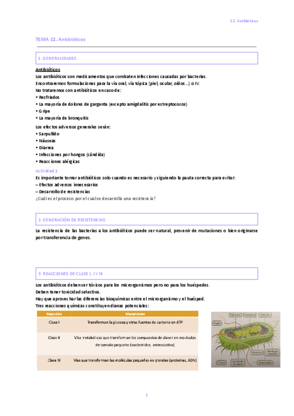 Miniatura del documento 12.-Antibioticos.pdf