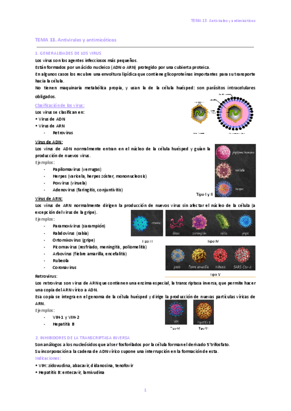 Miniatura del documento 13.-Antivirales-y-antimicoticos.pdf