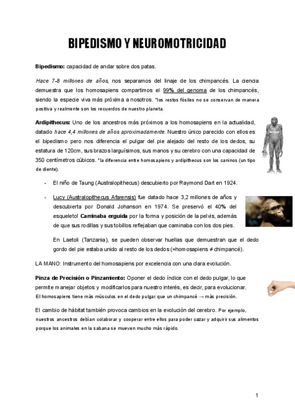 Miniatura del documento Bipedismo-y-neuromotricidad.pdf