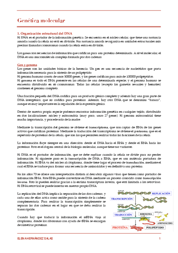 Miniatura del documento 1. Organización estructural del DNA.pdf