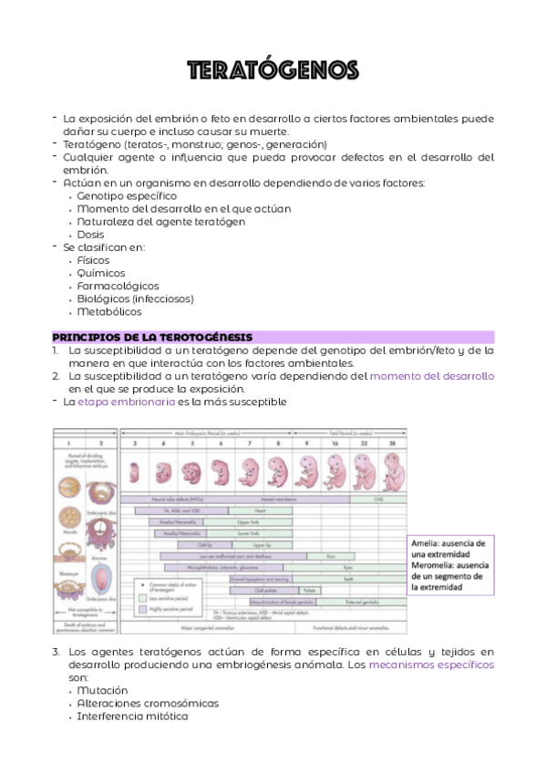 Miniatura del documento TEMA-7.pdf