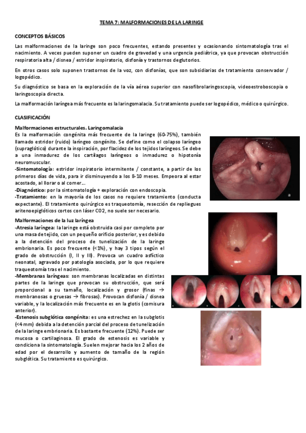 Miniatura del documento TEMA-7-PV.pdf