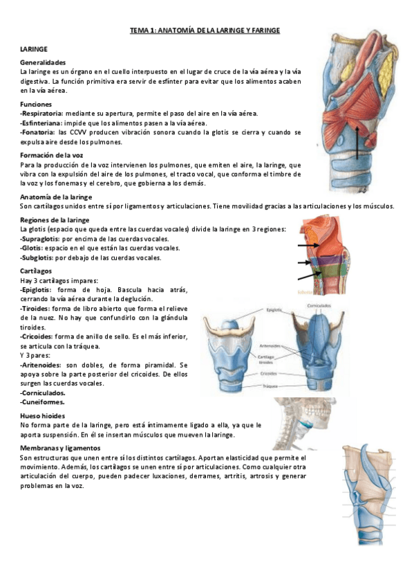 Miniatura del documento TEMA-1-PV.pdf