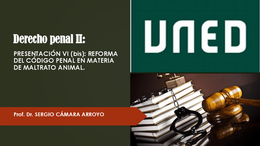 Miniatura del documento REFORMA-DEL-CODIGO-PENAL-EN-MATERIA-DE-MALTRATO-ANIMAL.pdf