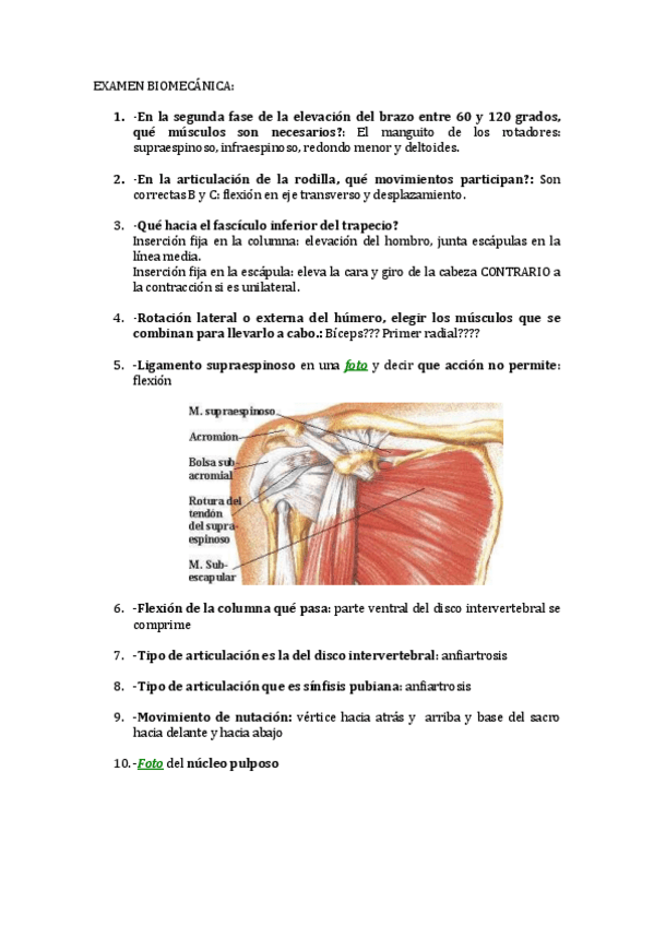 Miniatura del documento PREGUNTAS-BIOMECANICA-con-FOTOS-LOCALIZACIONES.pdf