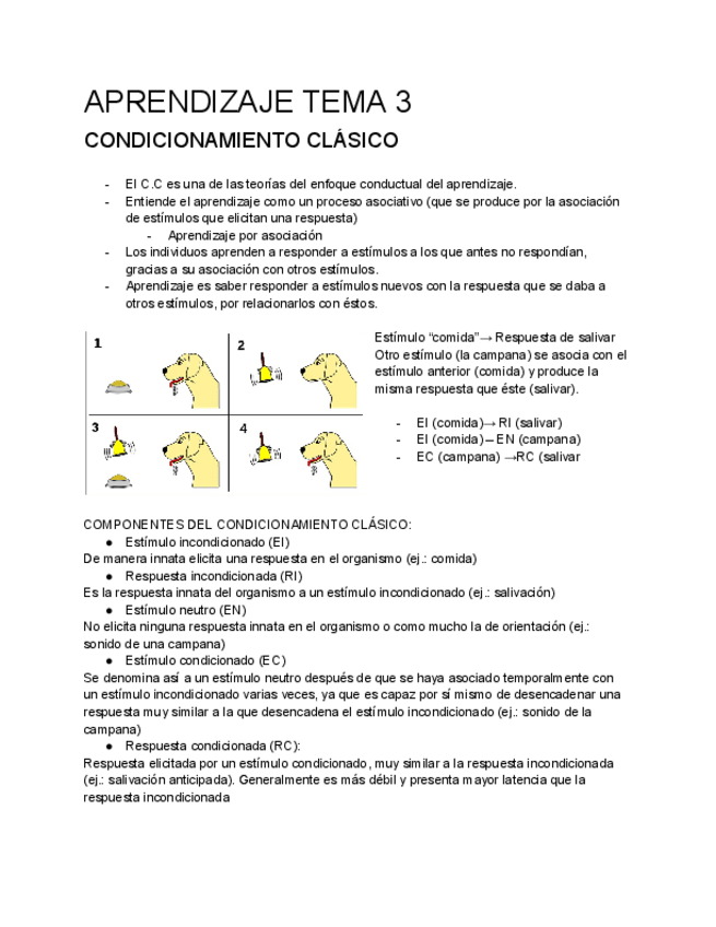 Miniatura del documento MEM-APR-TEMA-3.-APUNTES.pdf