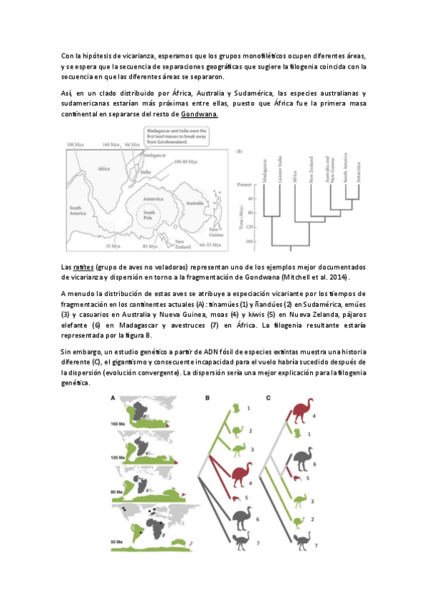 Miniatura del documento Biologia-evolutiva-T21.pdf