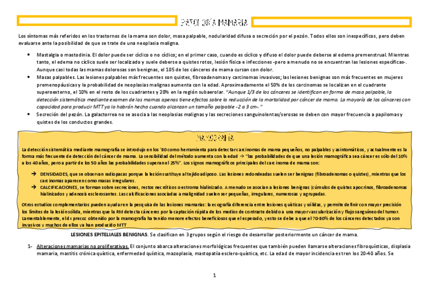 Miniatura del documento 6.-Patologia-glandula-mamaria.pdf