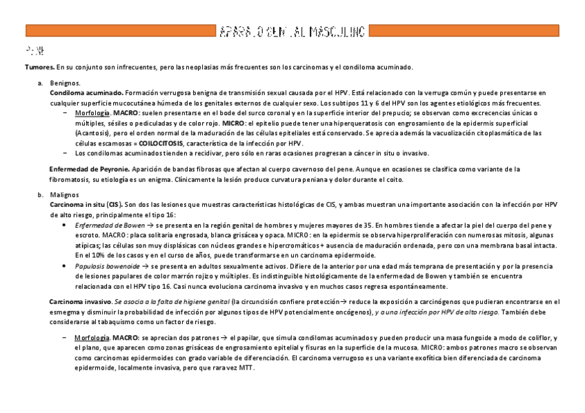 Miniatura del documento 6.Patologia-del-aparato-genital-masculino.pdf