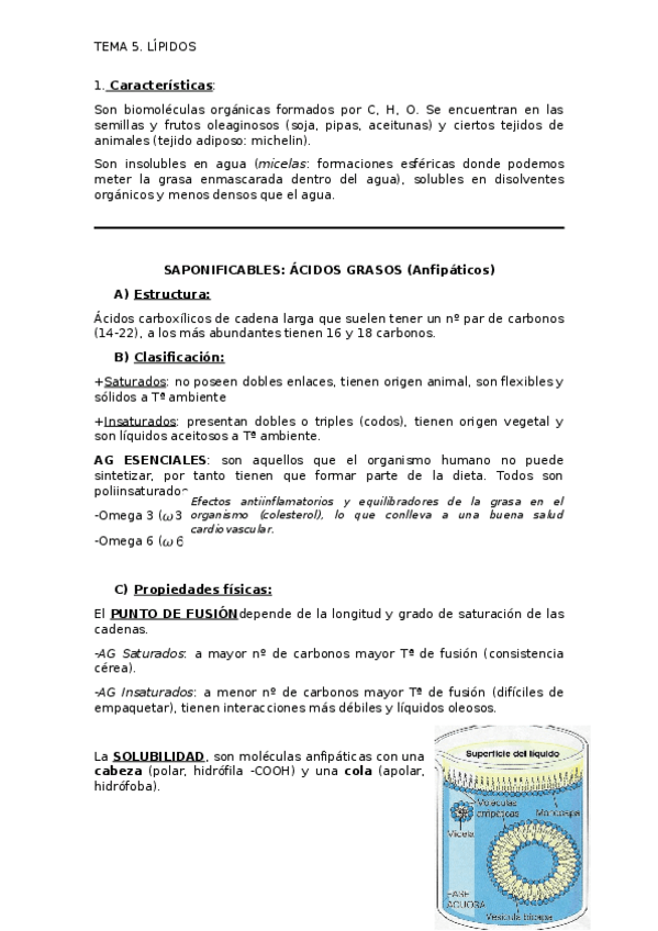 Miniatura del documento apuntes-T5.docx