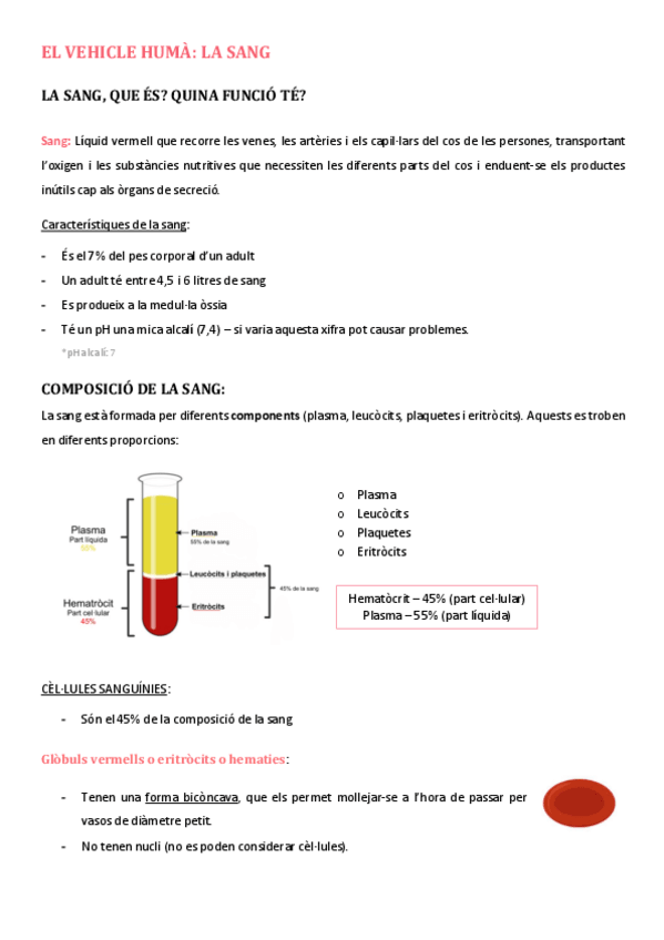 Miniatura del documento La-Sang.pdf