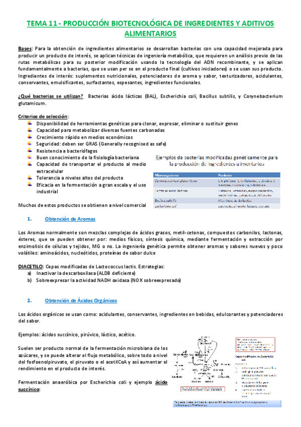 Miniatura del documento T11 Producción de Ingredientes y Aditivos.pdf