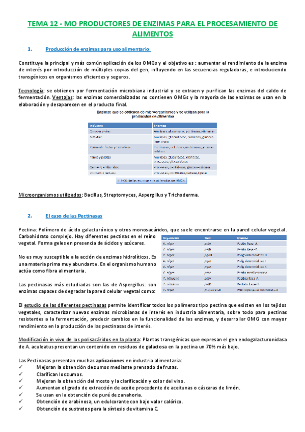 Miniatura del documento T12 MO Productores de ENZ.pdf