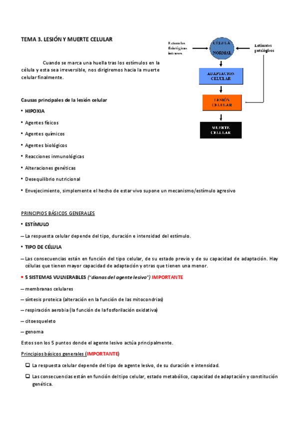 Miniatura del documento TEMA 3 APatológica.pdf