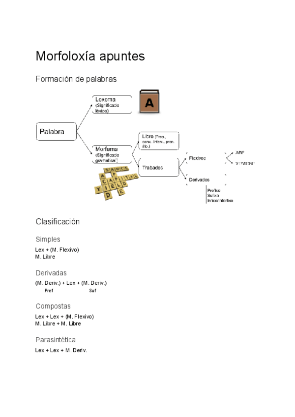 Miniatura del documento Morfoloxia-apuntes.pdf
