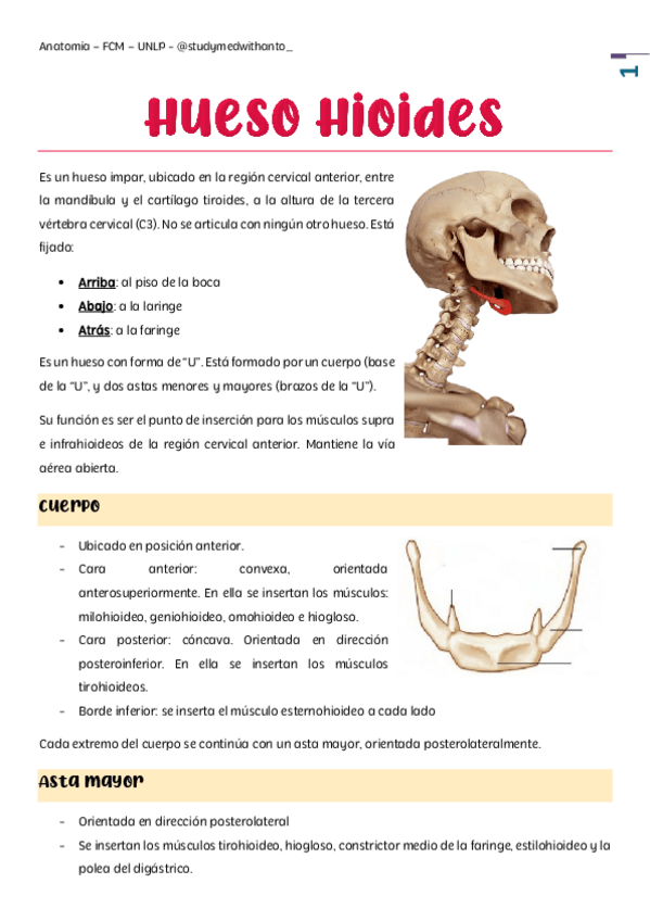 Miniatura del documento musculos-supra-e-infra.pdf