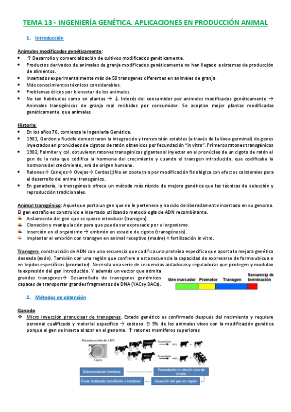 Miniatura del documento T13 Animales GM.pdf