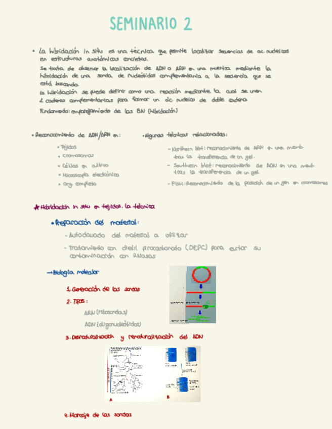 Miniatura del documento SEMINARIO-2.pdf