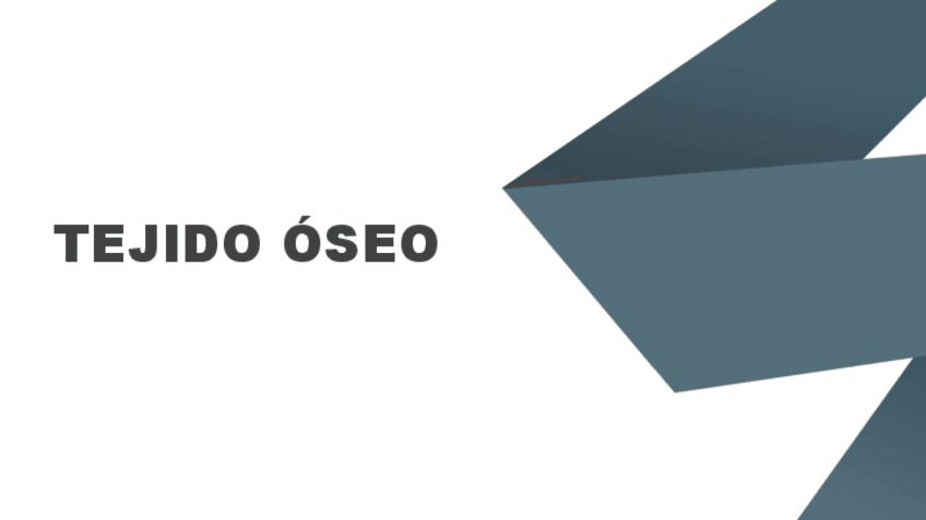 Miniatura del documento TEJIDO-OSEO.pdf