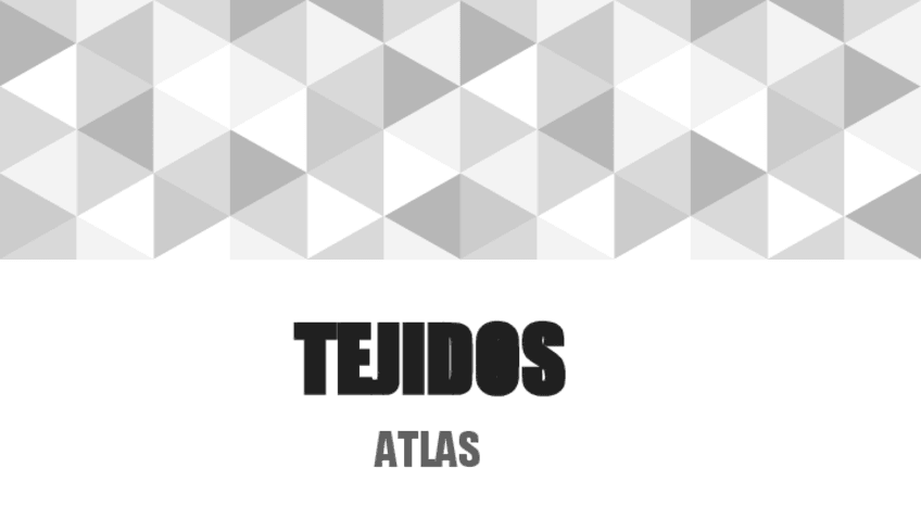 Miniatura del documento TEJIDOS.pdf